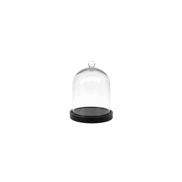 Cloche décorative en verre