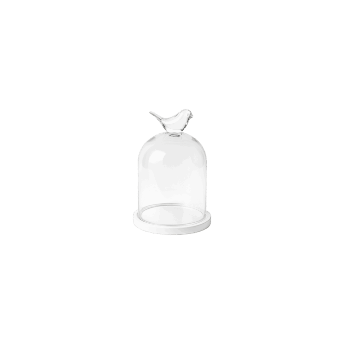 Cloche en verre oiseau