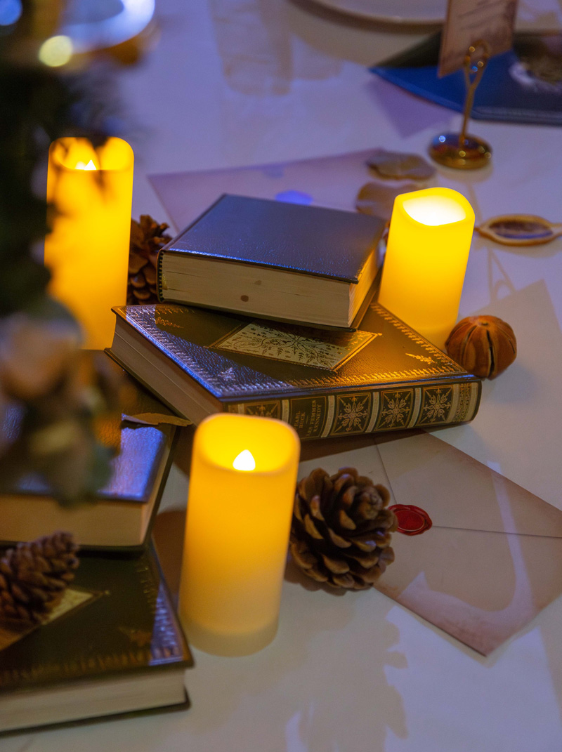 deco-harry-potter-4